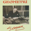 Geometri Kitabı